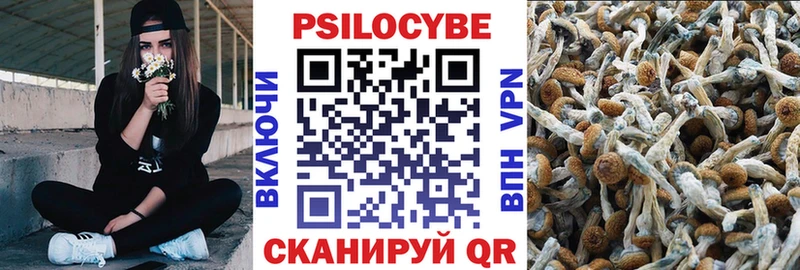 Псилоцибиновые грибы Psilocybine cubensis Кунгур
