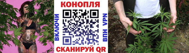 Марихуана семена  darknet телеграм  Кунгур  как найти закладки 